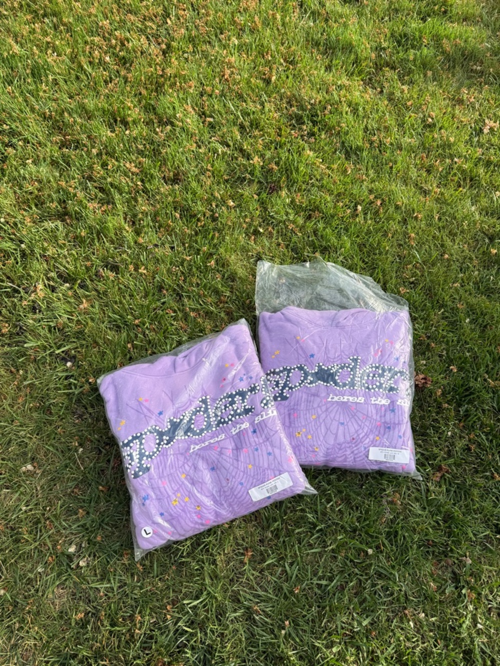 Purple spider hoodie